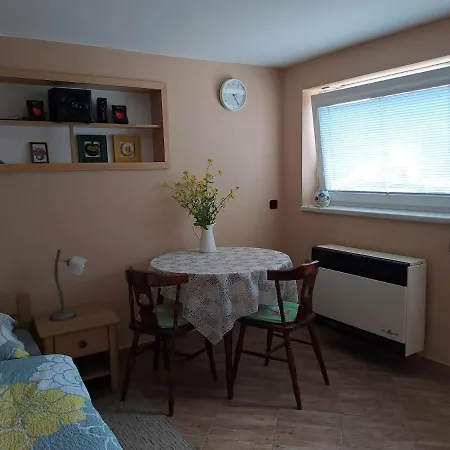 Проживание в семье Store