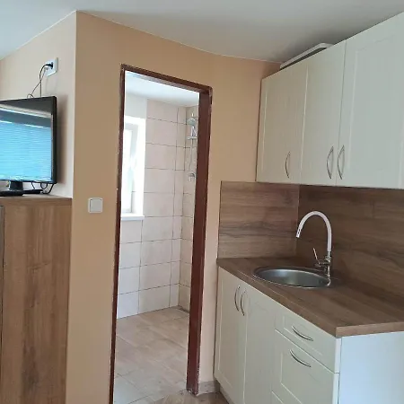 Проживание в семье Store Vracov