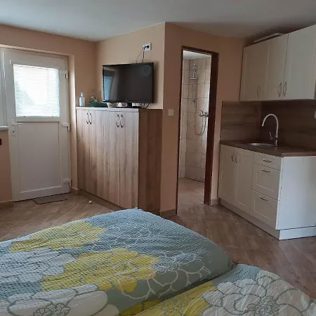 Проживание в семье Store Vracov