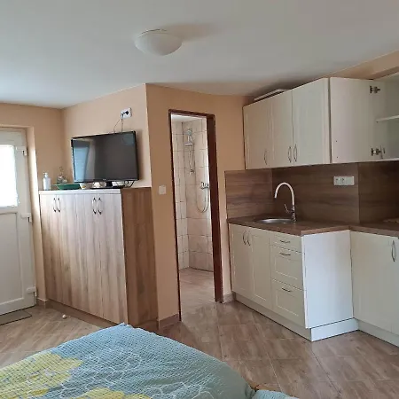 Store Проживание в семье