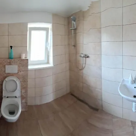 Store Проживание в семье